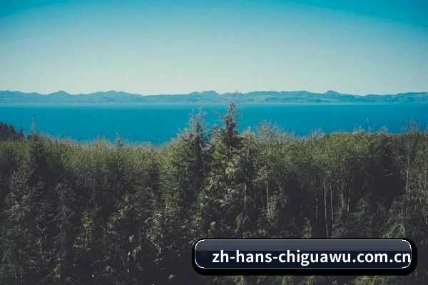 吃瓜APP上线 - 抗住顶流塌房的千万级流量洪峰,吃瓜网站原生APP正式上线,多端无缝同步您的追星日历。
